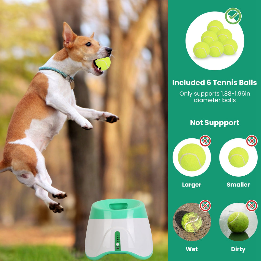 Close-up of the automatic dog ball launcher housing