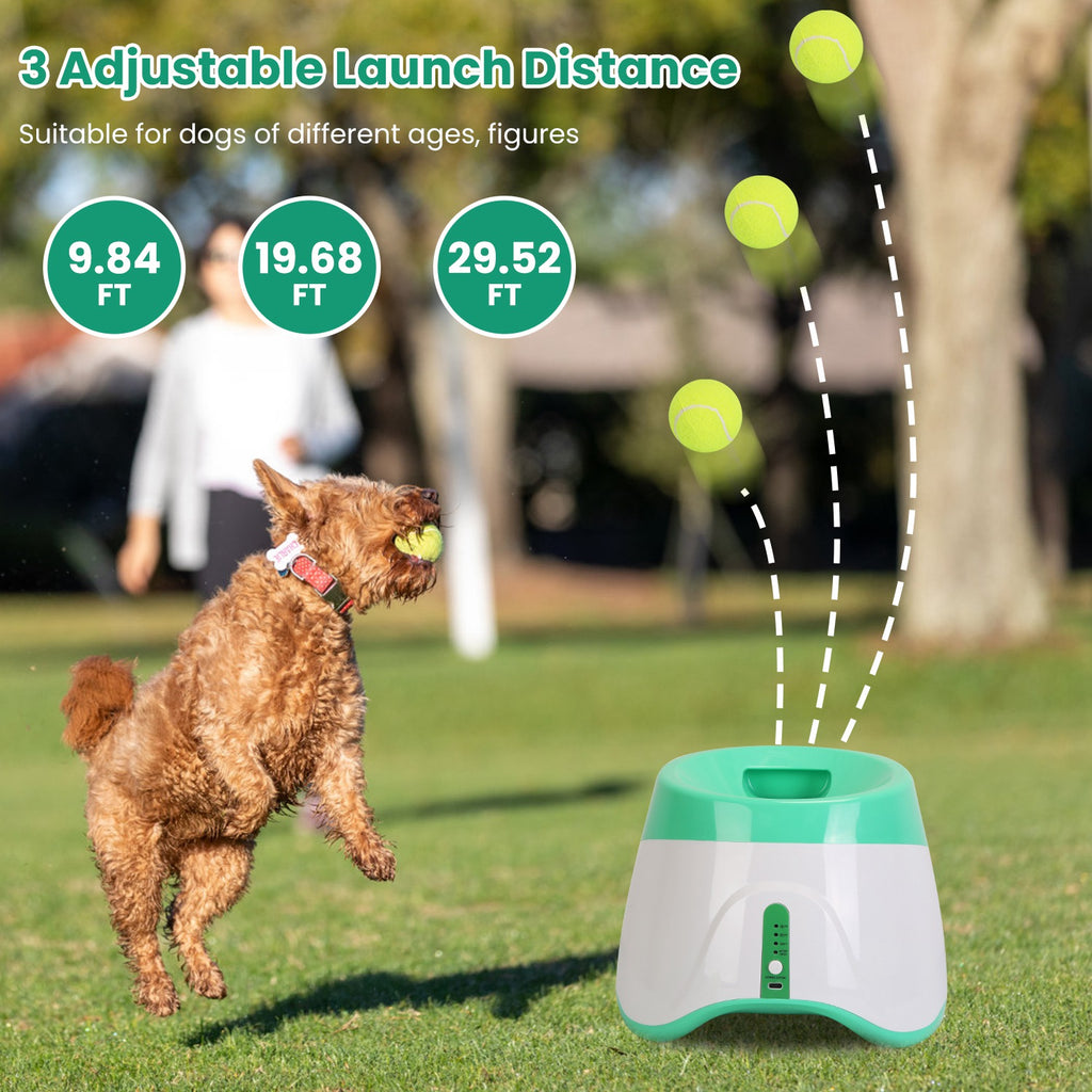 Dog playing fetch with the automatic ball launcher outdoors