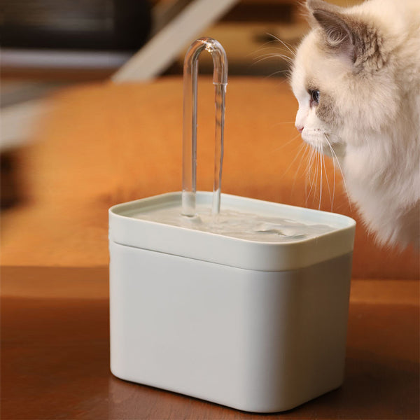 Smart Filtered Water Fountain