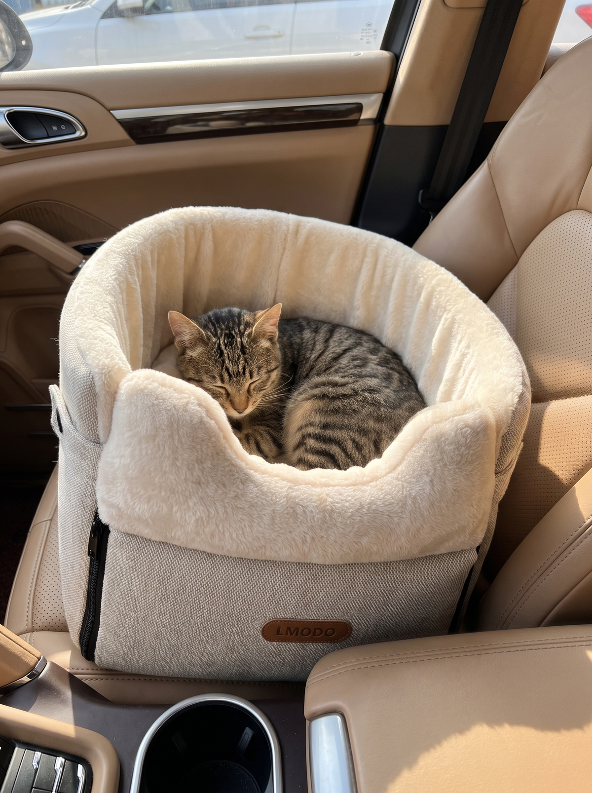 Small dog curled up comfortably in car seat bed