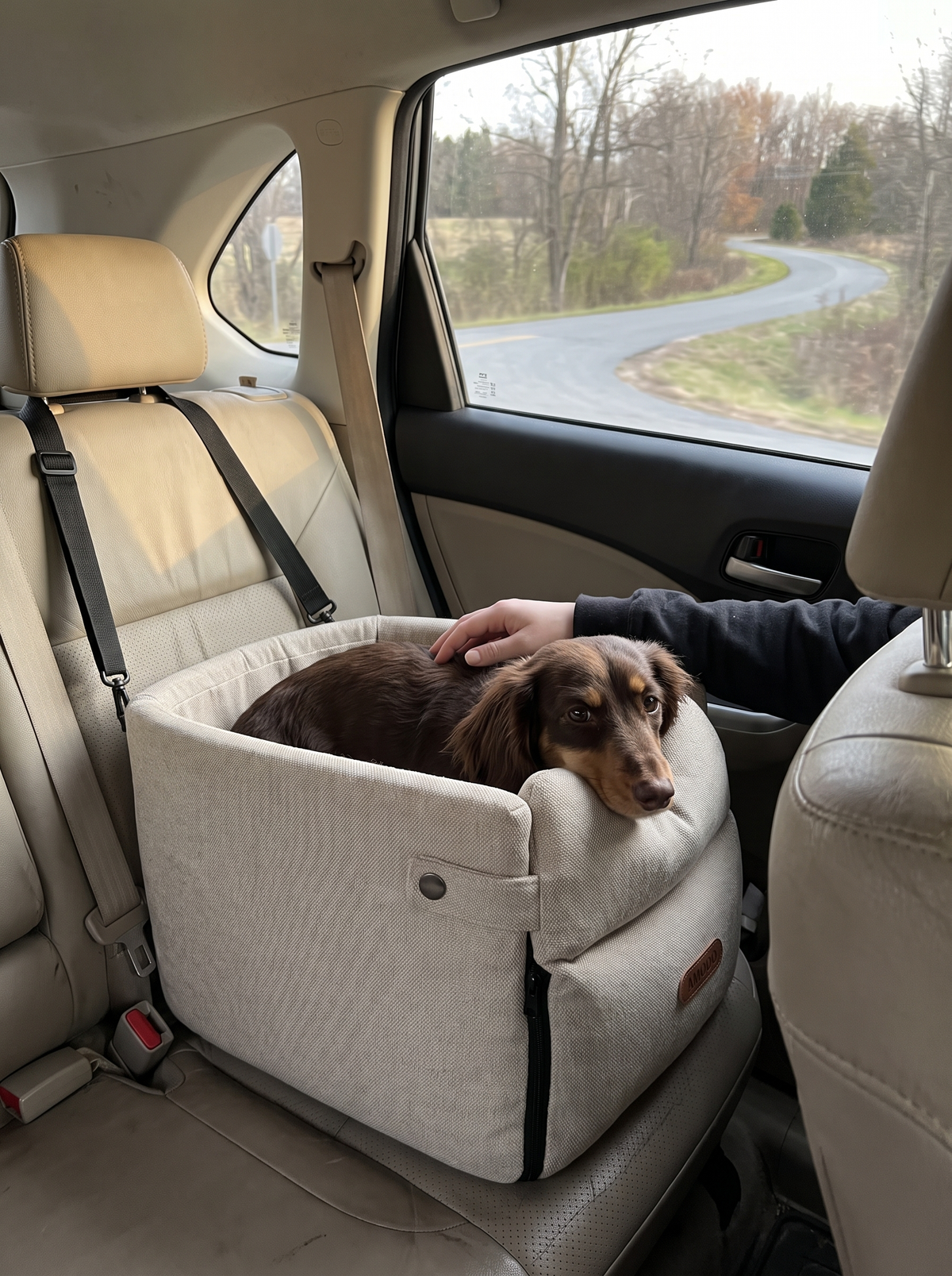 Dog car seat bed secured in back seat during drive